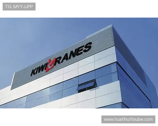 探索华体会hth官网的独特魅力与用户体验